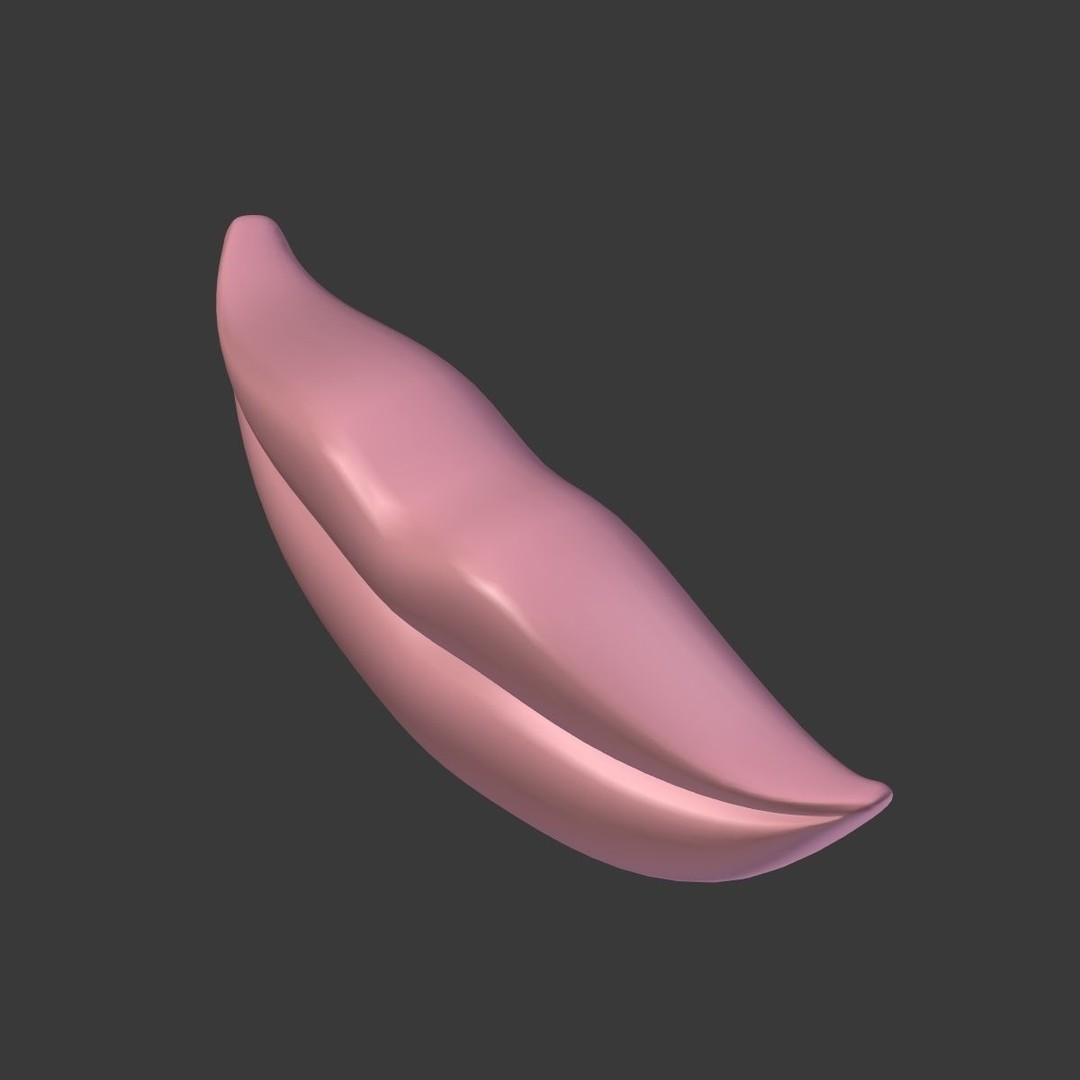 Lips 3D Model – Low Poly Character Asset for Animation, Blender - View 17