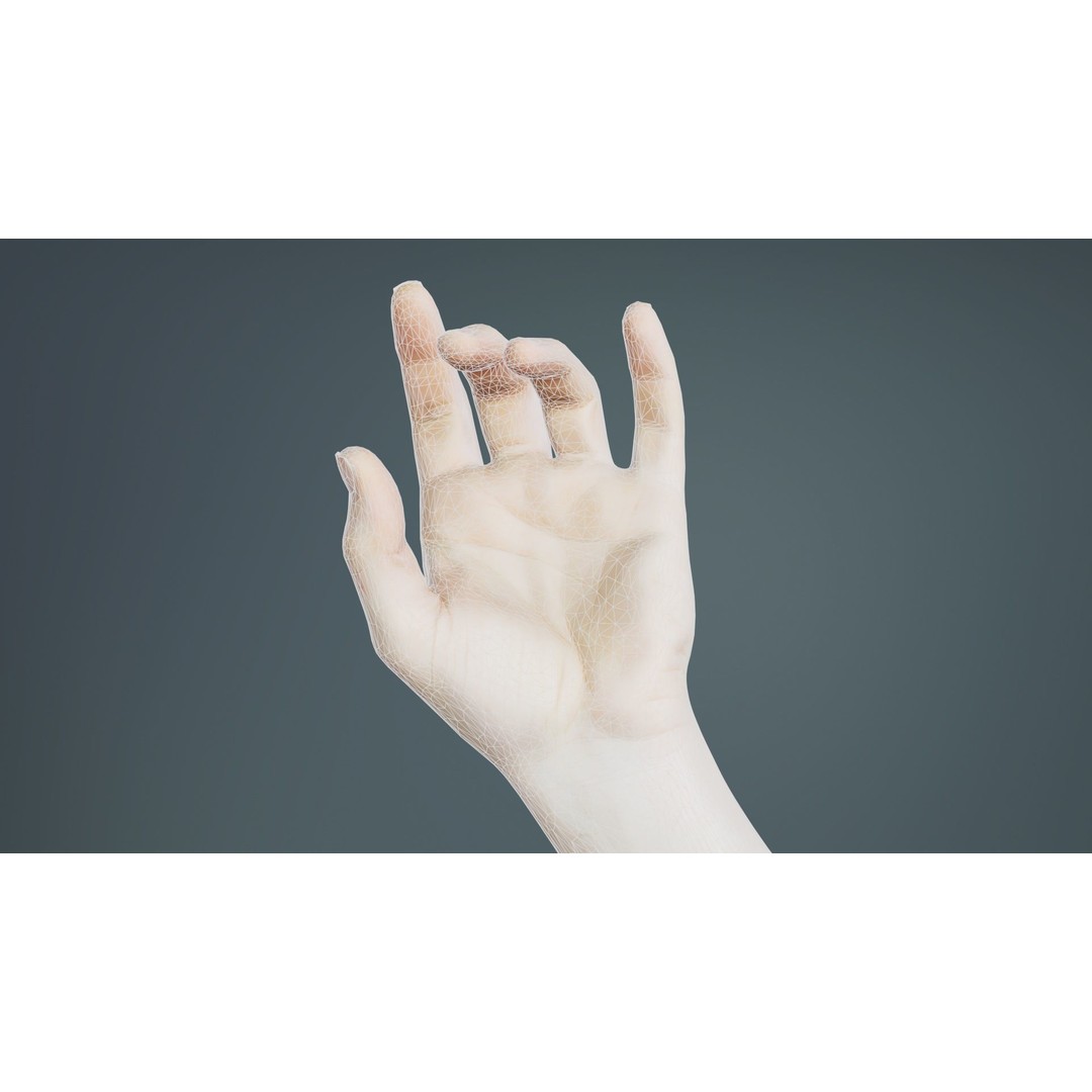 Male Hand 3D Model – Low Poly Photogrammetry Asset, FBX, Blender - View 11