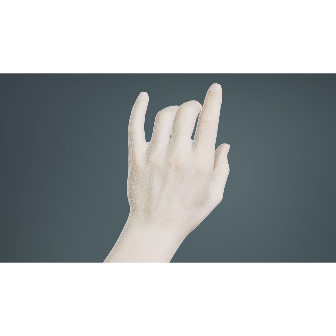 Male Hand 3D Model – Low Poly Photogrammetry Asset, FBX, Blender - View 12
