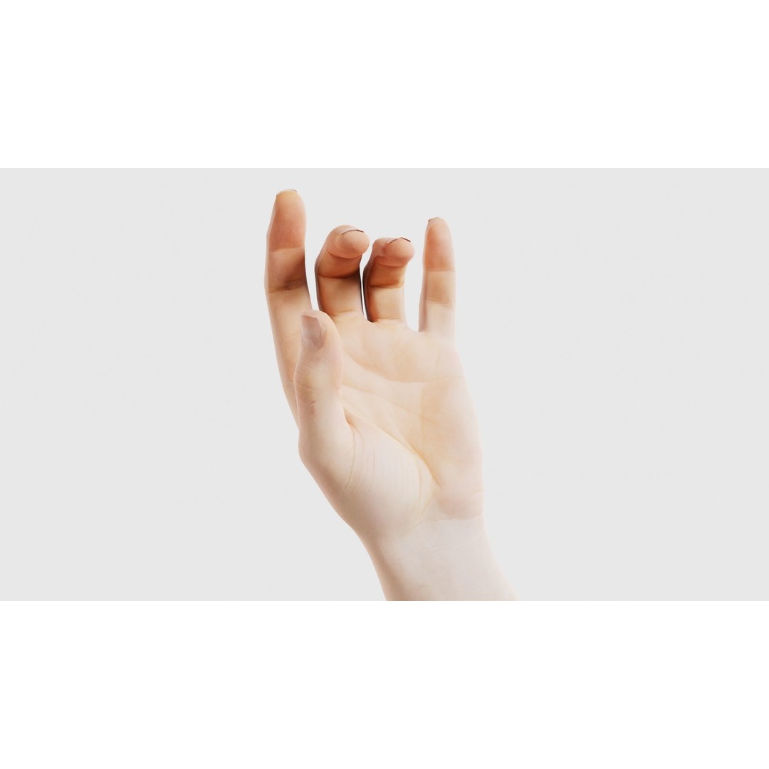Male Hand 3D Model – Low Poly Photogrammetry Asset, FBX, Blender - View 18
