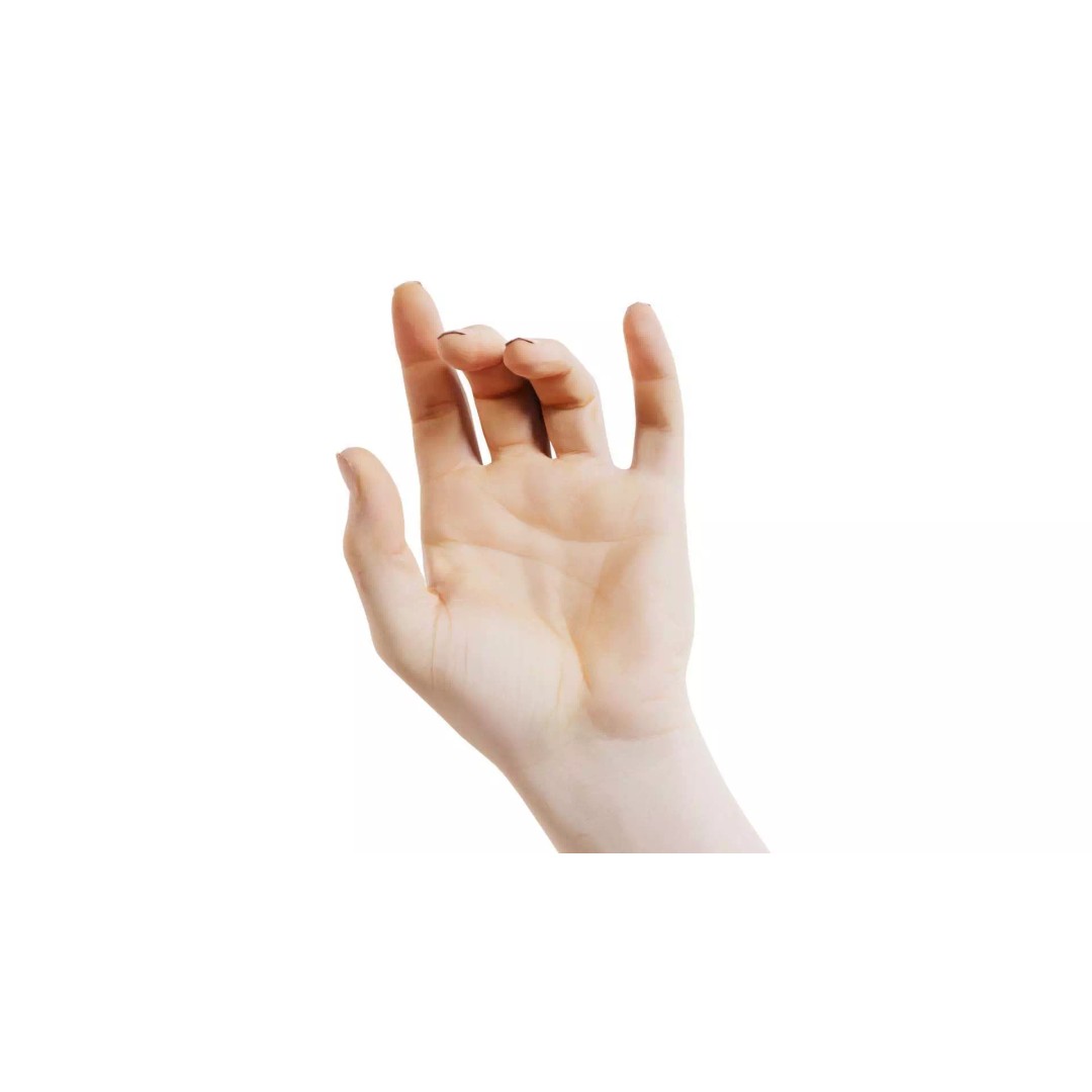 Male Hand 3D Model – Low Poly Photogrammetry Asset, FBX, Blender - View 2