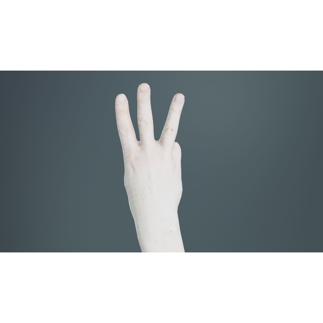 Male Hand 3D Model – Low Poly Anatomical Character with PBR Textures - View 12