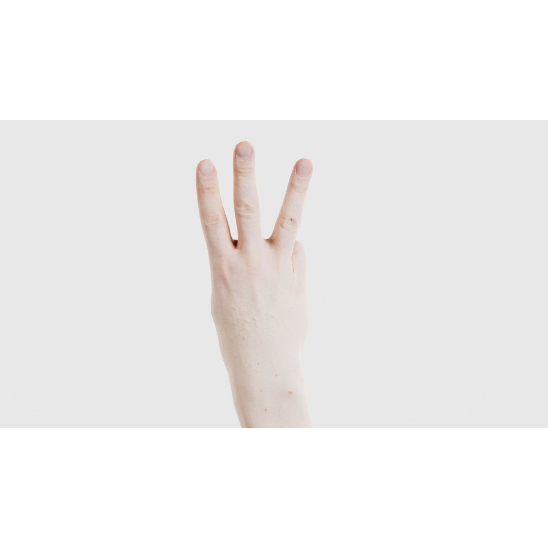 Male Hand 3D Model – Low Poly Anatomical Character with PBR Textures - View 23