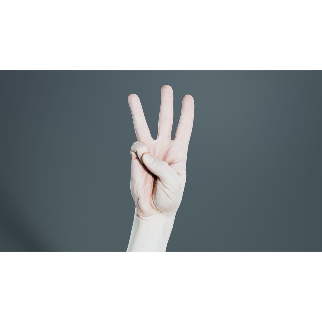 Male Hand 3D Model – Low Poly Anatomical Character with PBR Textures - View 7