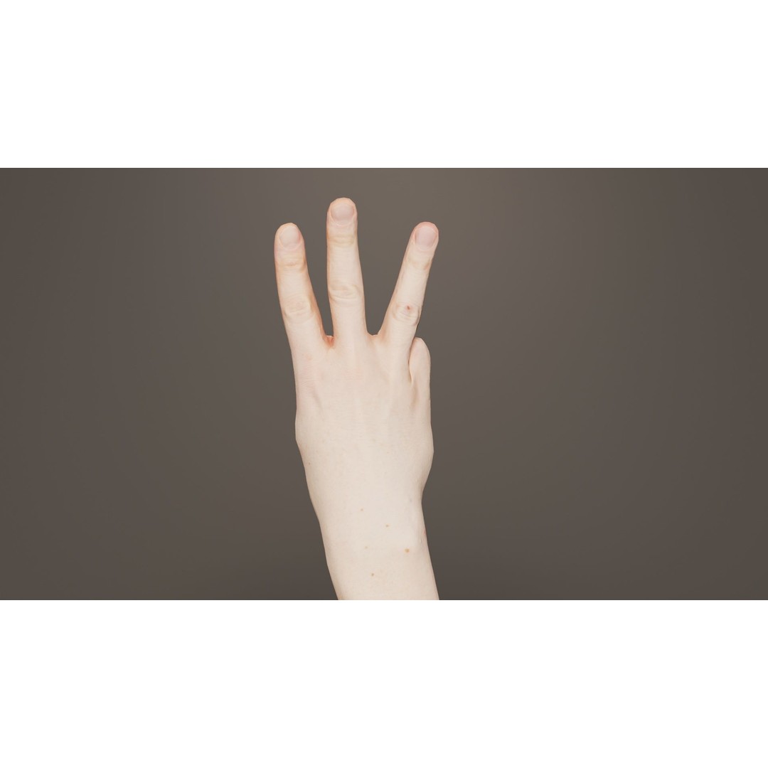Male Hand 3D Model – Low Poly Anatomical Character with PBR Textures - View 8