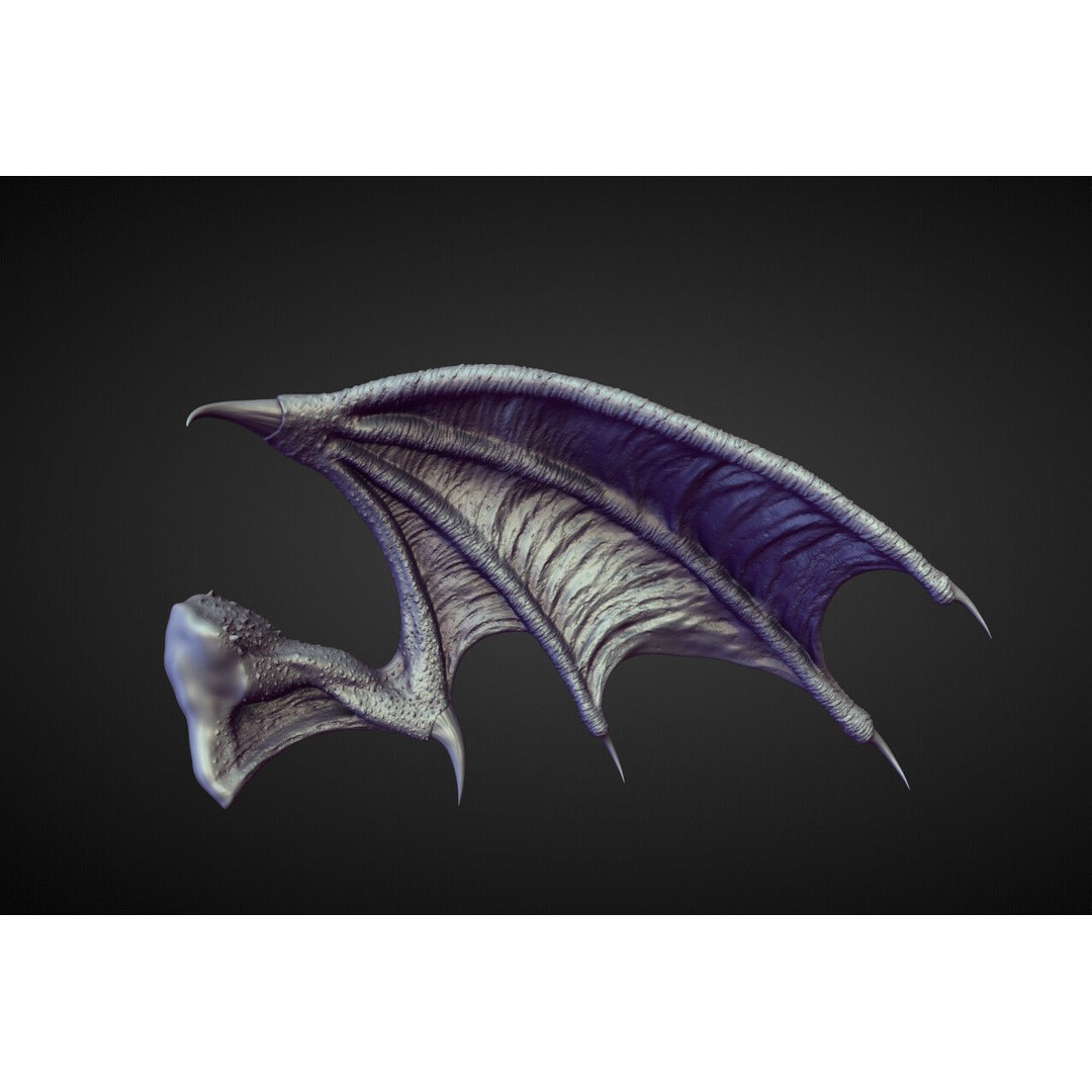 Wing 3D Model – High Poly Sculpt for Character Projects, OBJ - View 3