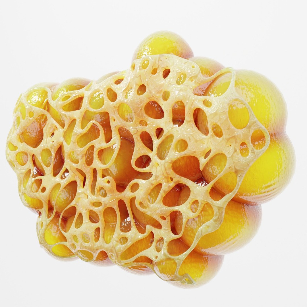 Fat Cell 3D Model – High Poly Anatomical Asset, PBR Textures, FBX - View 5