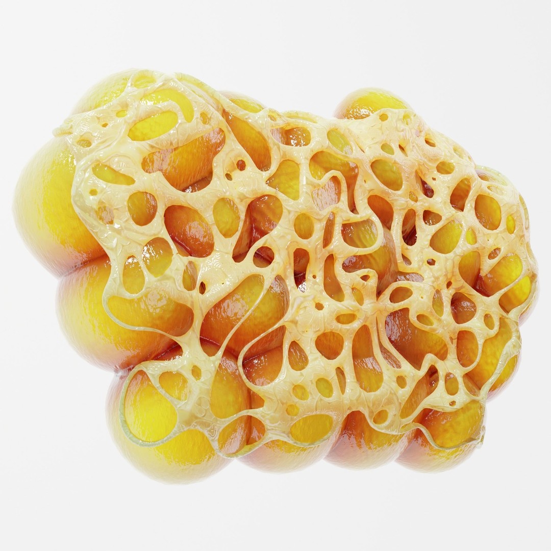 Fat Cell 3D Model – High Poly Anatomical Asset, PBR Textures, FBX - View 6