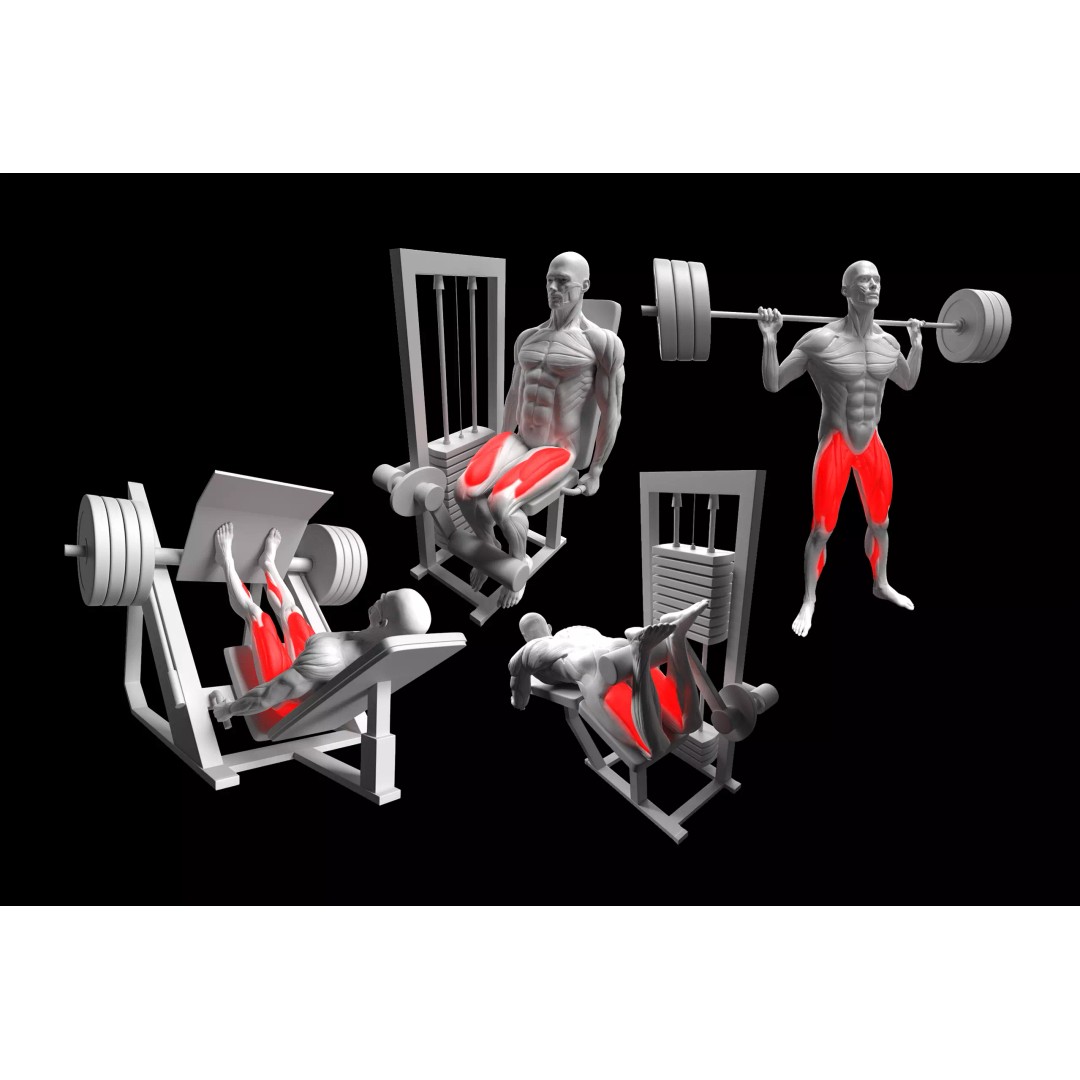 Leg Exercises 3D Model – Animated Rigged Character with PBR Textures - View 2