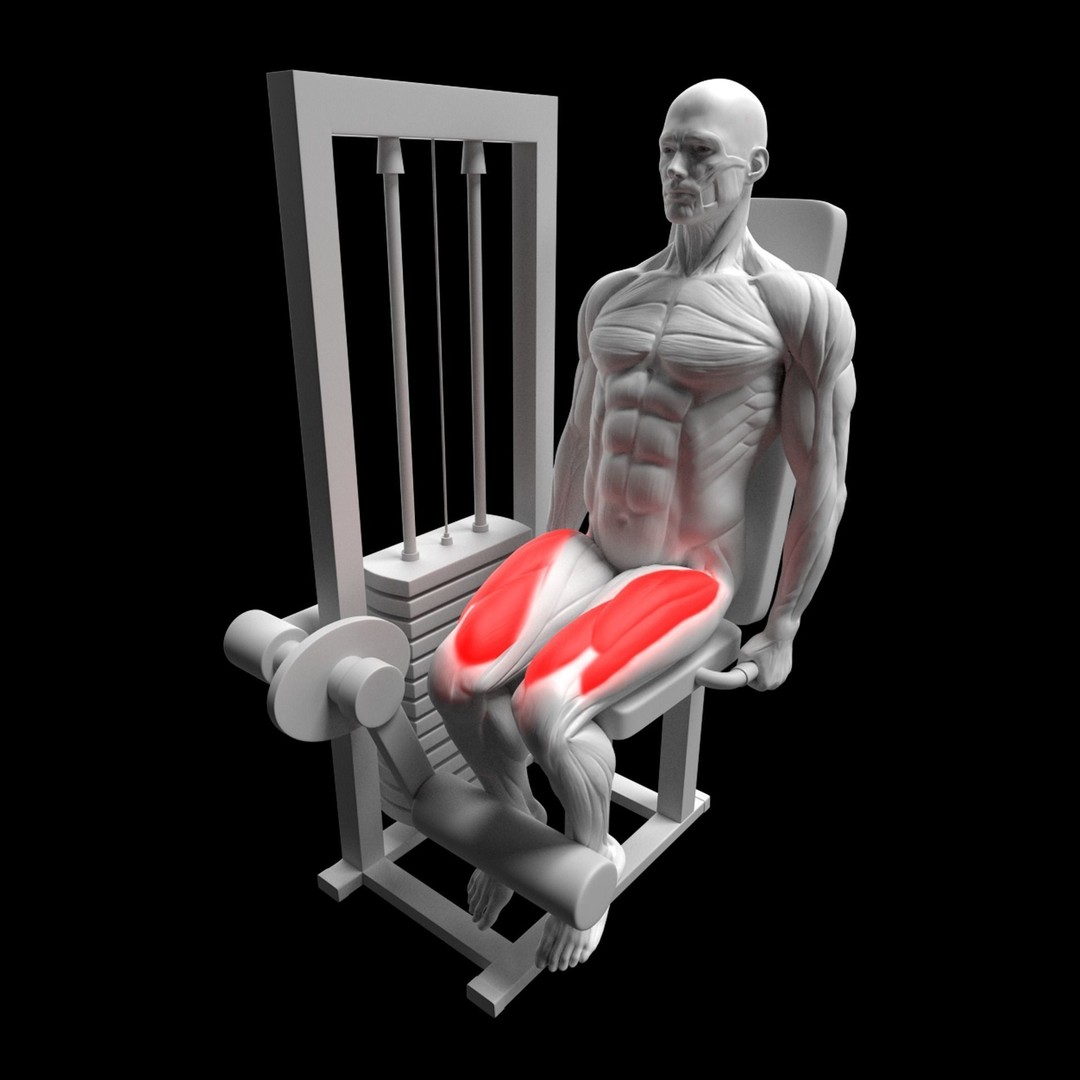 Leg Exercises 3D Model – Animated Rigged Character with PBR Textures - View 5