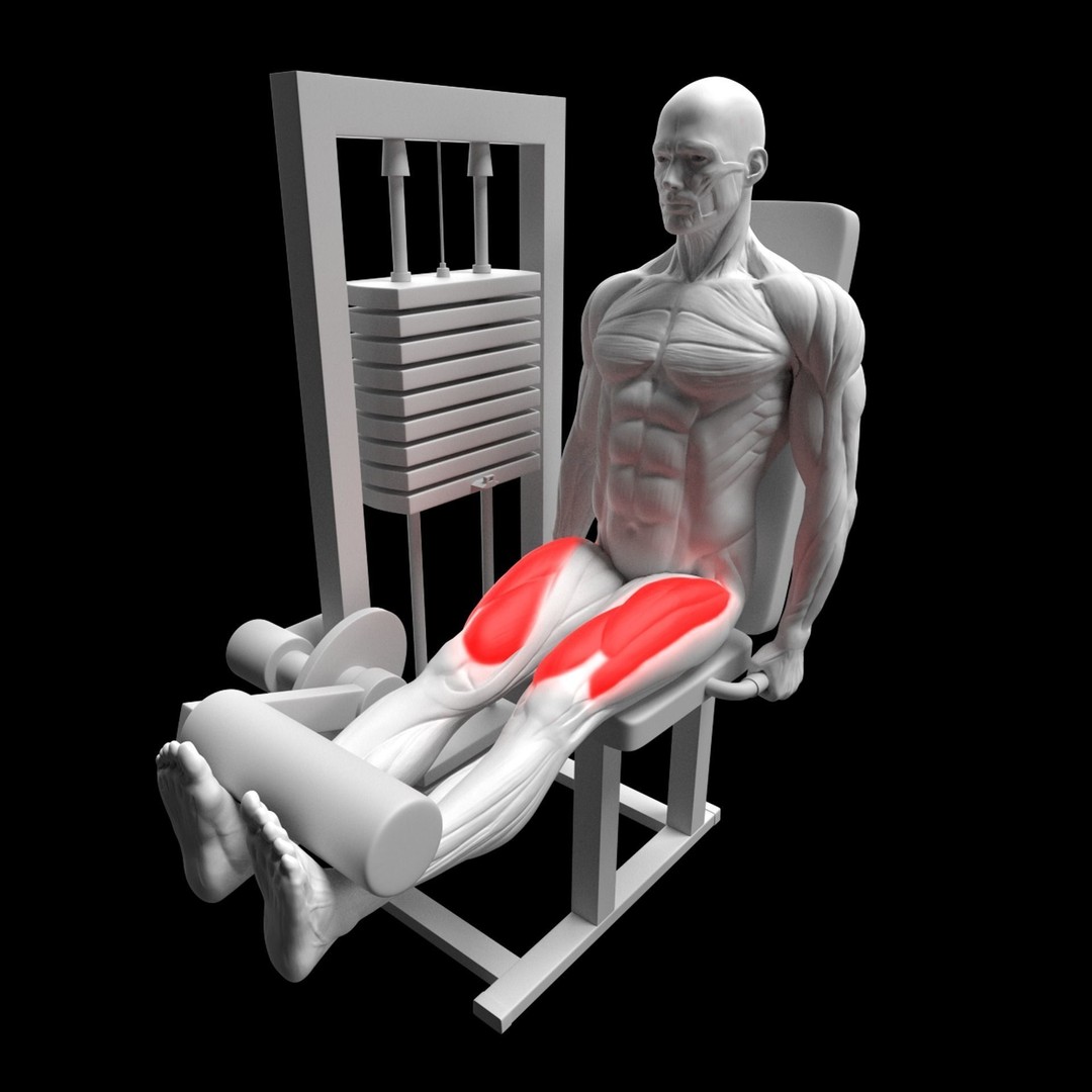 Leg Exercises 3D Model – Animated Rigged Character with PBR Textures - View 6