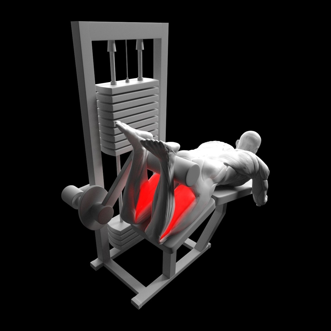 Leg Exercises 3D Model – Animated Rigged Character with PBR Textures - View 7