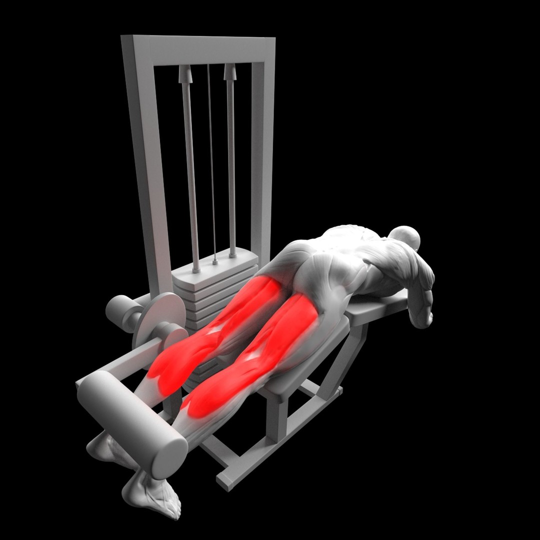 Leg Exercises 3D Model – Animated Rigged Character with PBR Textures - View 8