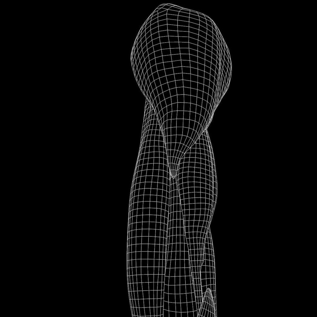 Arm Anatomy 3D Model – Realistic Bone Muscle Hand, FBX, OBJ - View 10