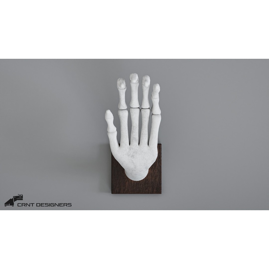 Human Hand Skeleton 3D Model – Low Poly PBR Game Asset, FBX, OBJ - View 11