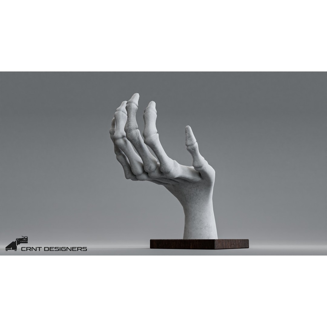 Human Hand Skeleton 3D Model – Low Poly PBR Game Asset, FBX, OBJ - View 12