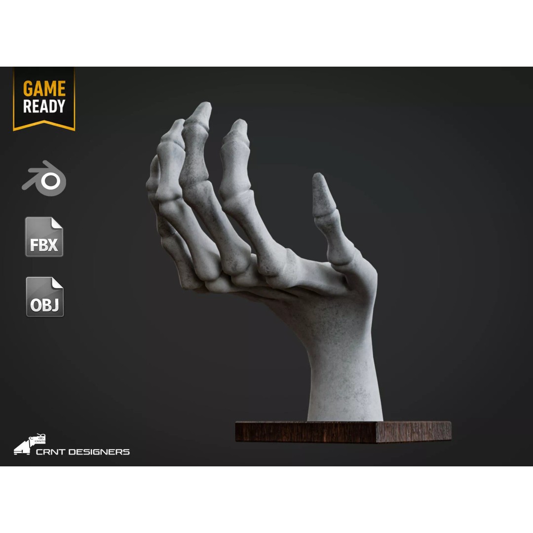 Human Hand Skeleton 3D Model – Low Poly PBR Game Asset, FBX, OBJ - View 2