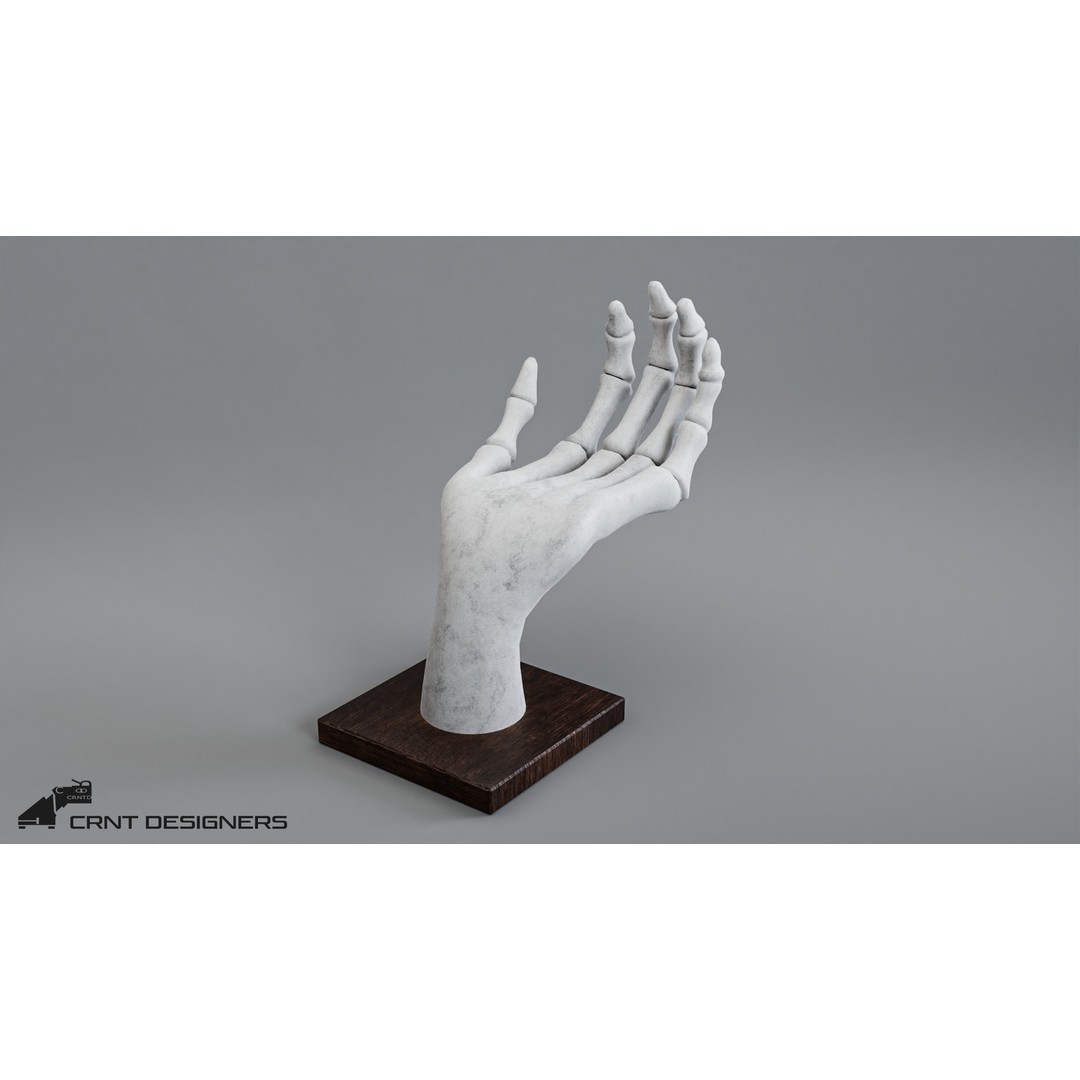 Human Hand Skeleton 3D Model – Low Poly PBR Game Asset, FBX, OBJ - View 3