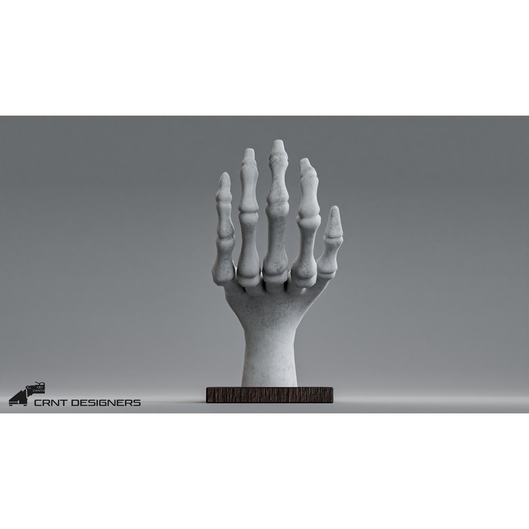 Human Hand Skeleton 3D Model – Low Poly PBR Game Asset, FBX, OBJ - View 4