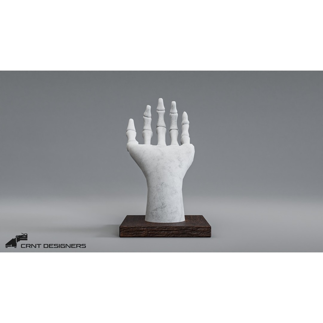 Human Hand Skeleton 3D Model – Low Poly PBR Game Asset, FBX, OBJ - View 9