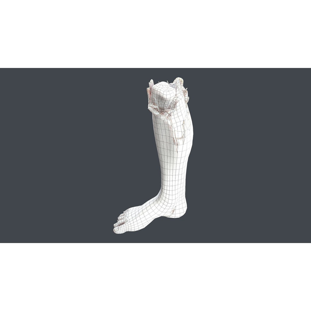Severed Foot 3D Model – Low Poly Game Asset with PBR Textures - View 13