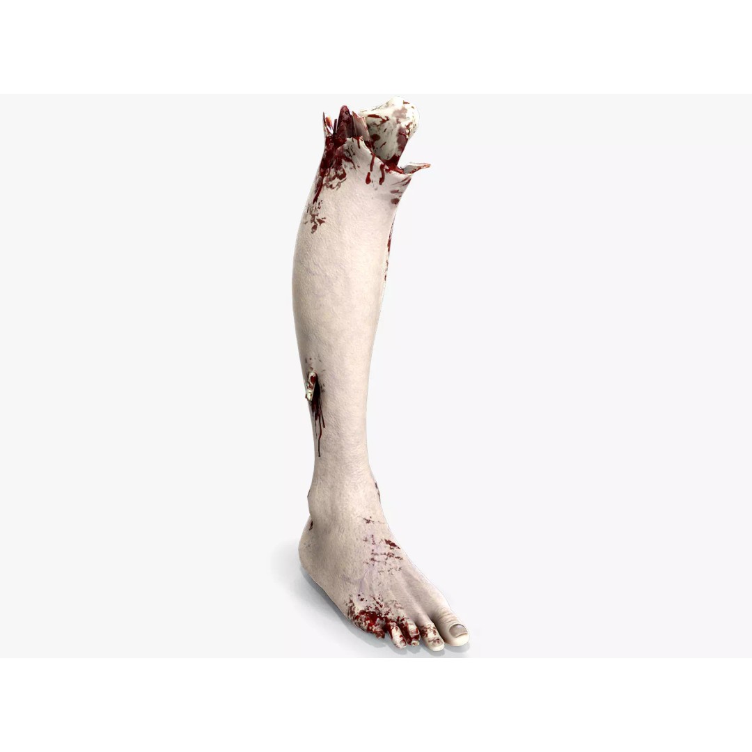 Severed Foot 3D Model – Low Poly Game Asset with PBR Textures - View 2