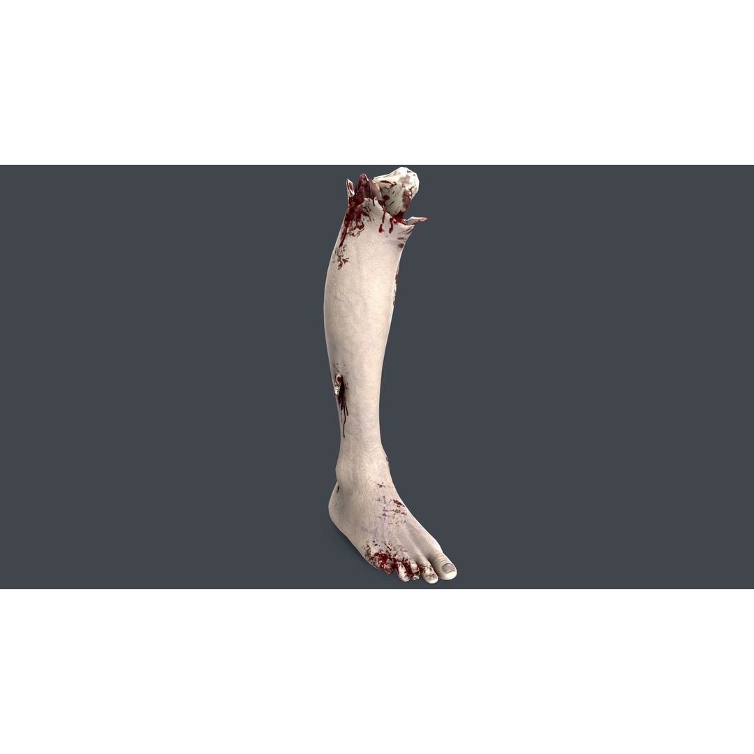 Severed Foot 3D Model – Low Poly Game Asset with PBR Textures - View 3