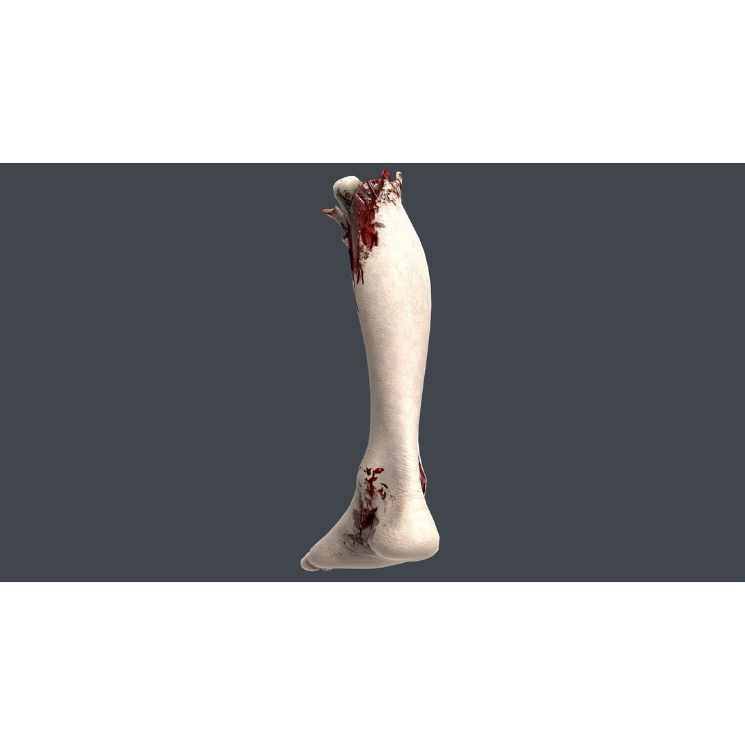 Severed Foot 3D Model – Low Poly Game Asset with PBR Textures - View 6