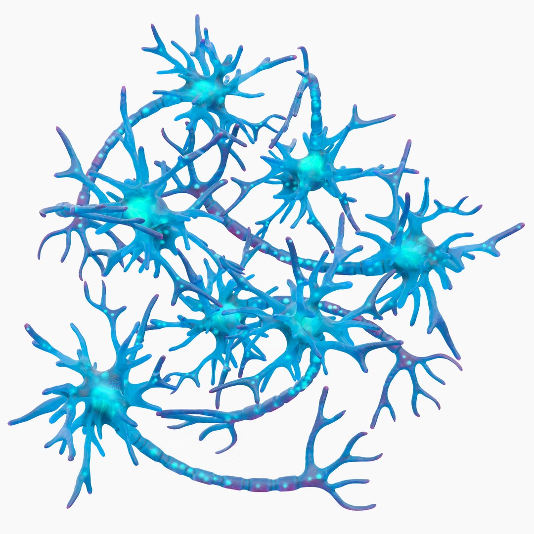 Human Neuron 3D Model – Realistic Scientific Asset, FBX, OBJ - View 7