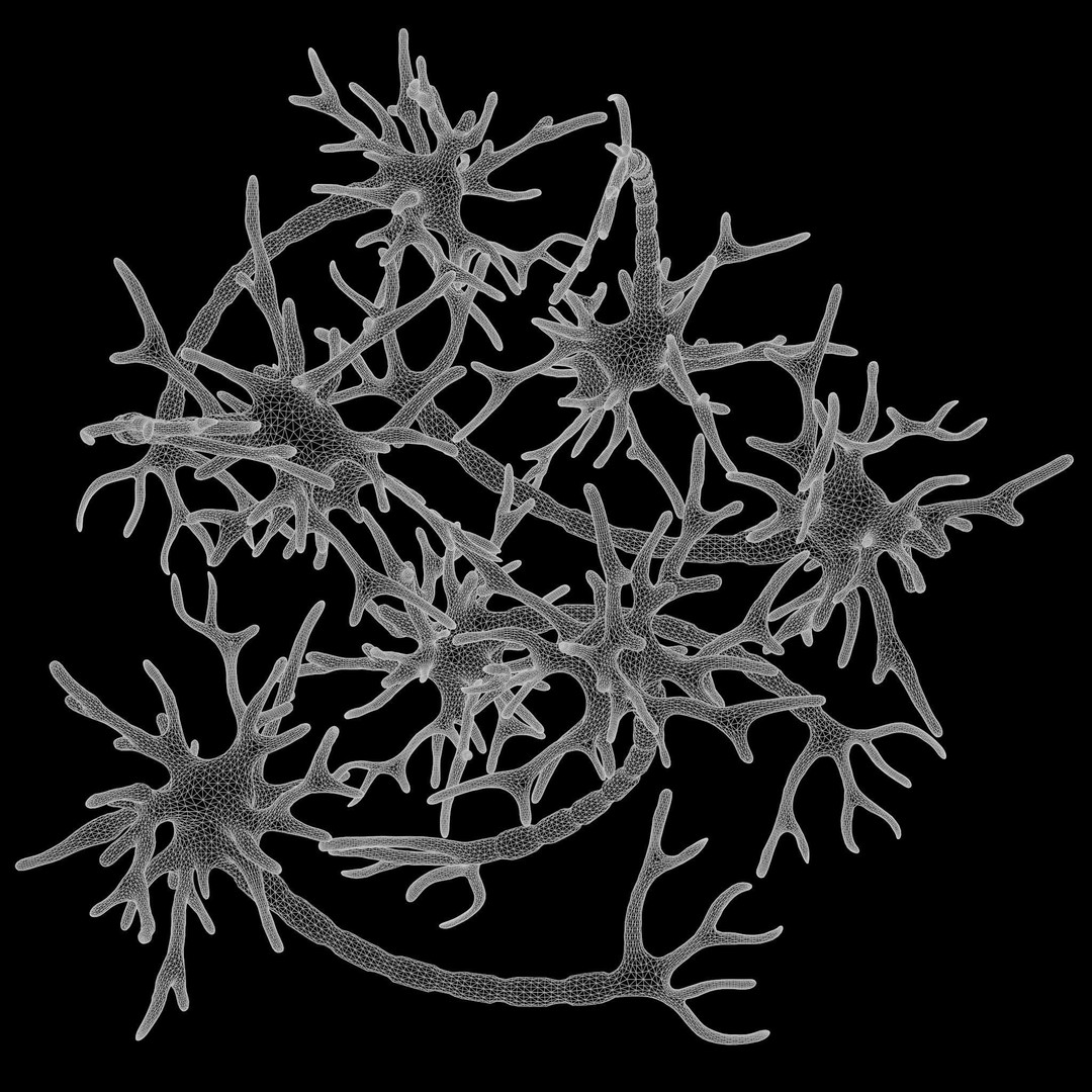 Human Neuron 3D Model – Realistic Scientific Asset, FBX, OBJ - View 8