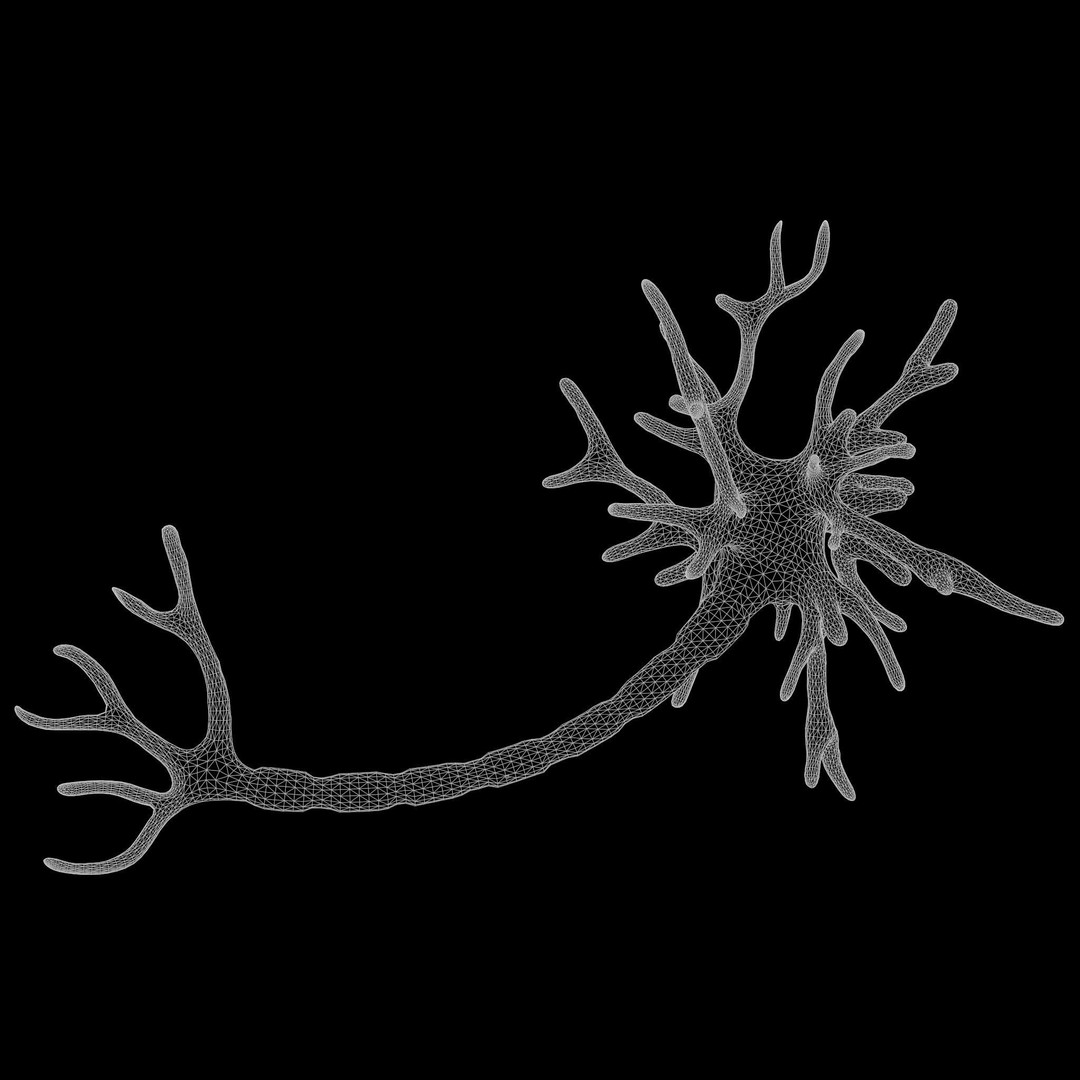 Human Neuron 3D Model – Realistic Scientific Asset, FBX, OBJ - View 9