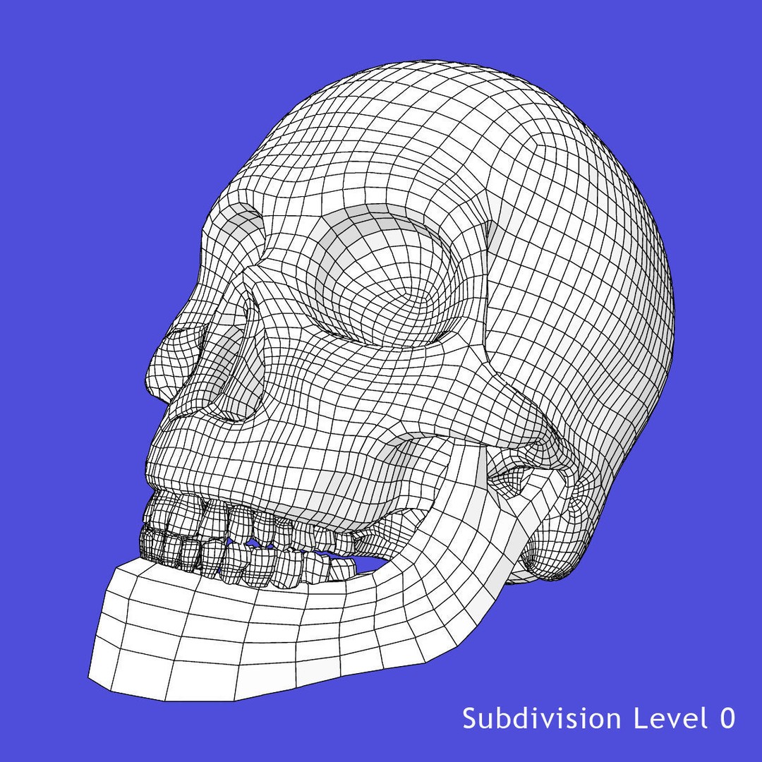 Full Female Skeleton 3D Model – Rigged X-Ray Character, Blender, FBX - View 24