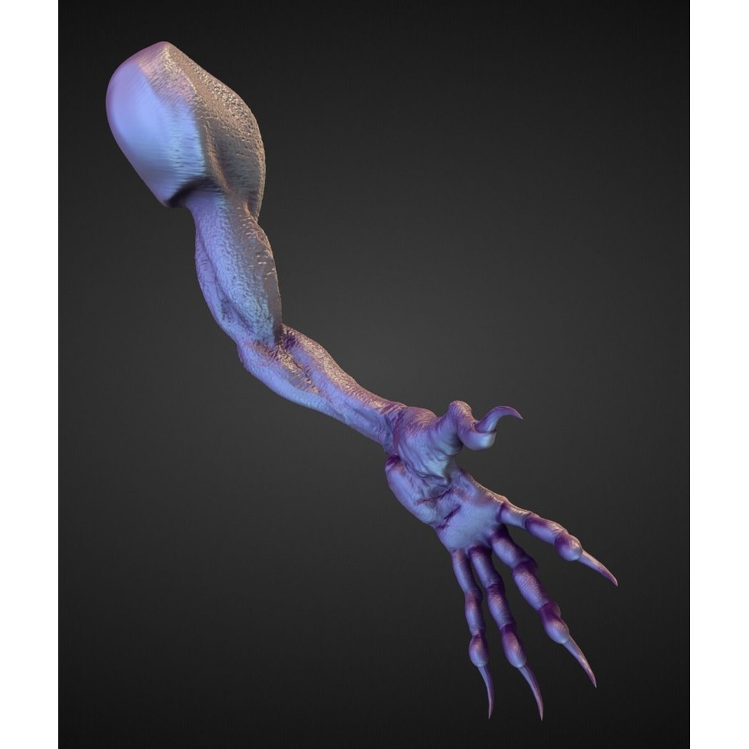 High Poly Arm 3D Model – Character Anatomy Sculpt in OBJ Format
