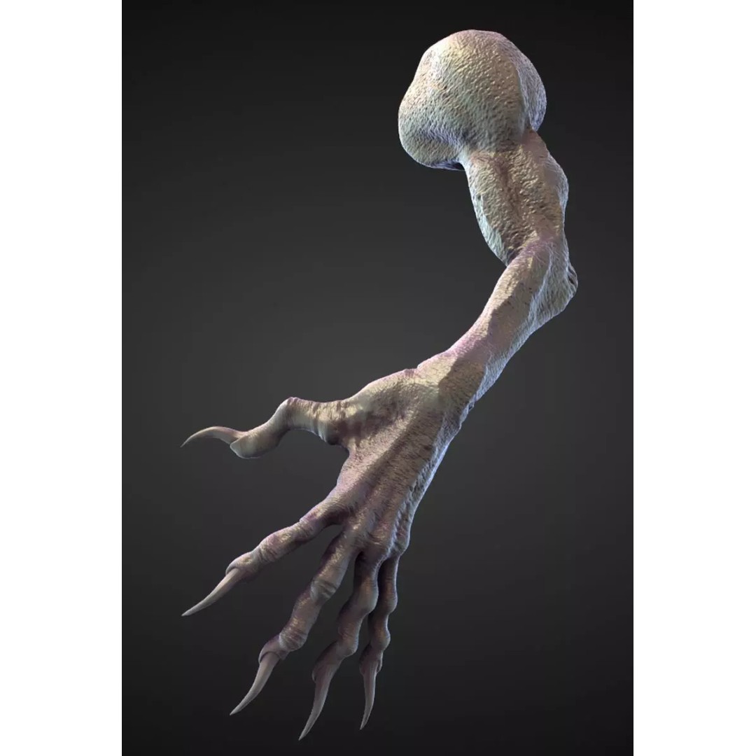 High Poly Arm 3D Model – Character Anatomy Sculpt in OBJ Format - View 2