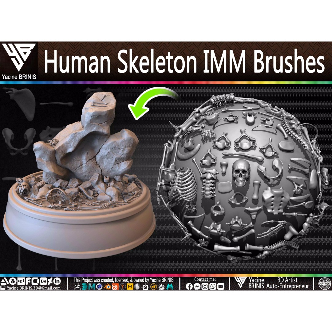 Human Skeleton 3D Model – Low Poly IMM Brushes for ZBrush - View 2