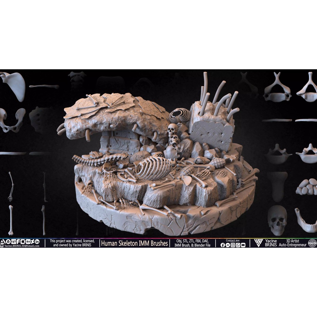 Human Skeleton 3D Model – Low Poly IMM Brushes for ZBrush - View 24