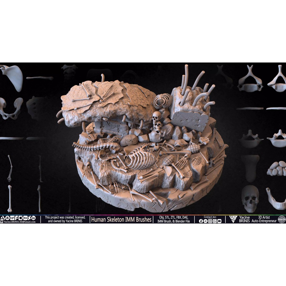 Human Skeleton 3D Model – Low Poly IMM Brushes for ZBrush - View 25