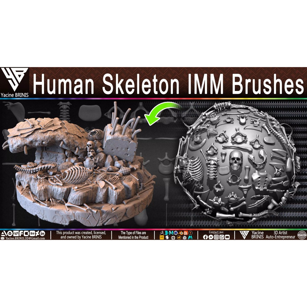Human Skeleton 3D Model – Low Poly IMM Brushes for ZBrush - View 29