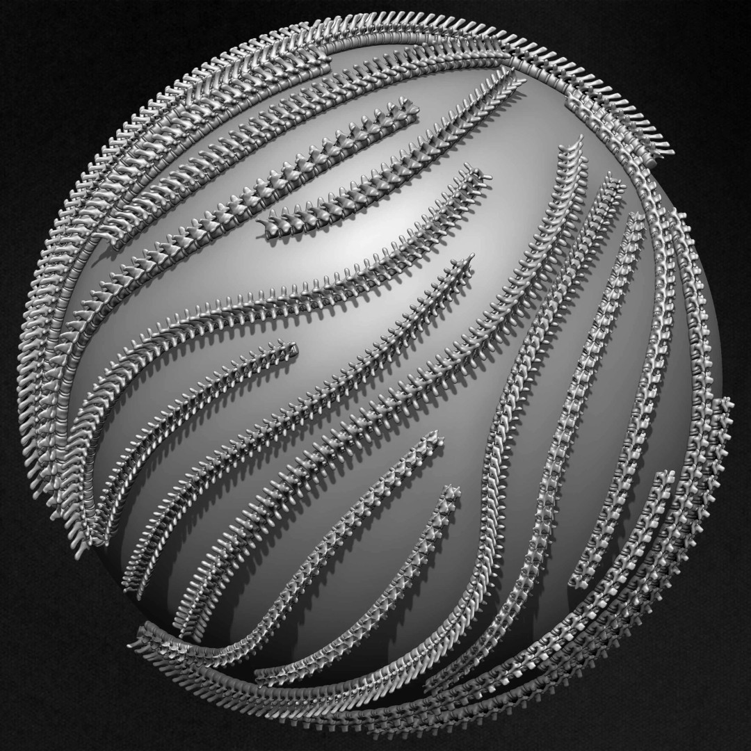 Human Skeleton 3D Model – Low Poly IMM Brushes for ZBrush - View 36