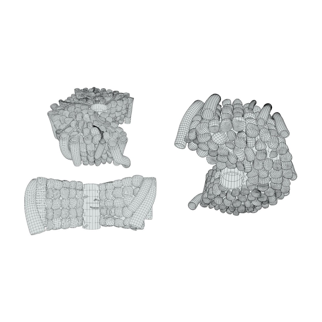 Hepatic Lobule Anatomy 3D Model – PBR Textured Medical Asset, FBX