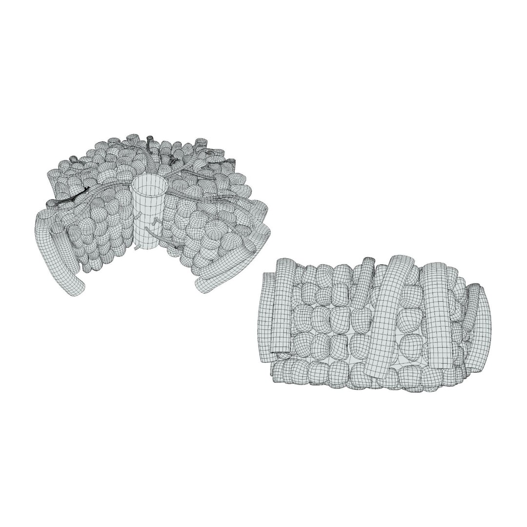 Hepatic Lobule Anatomy 3D Model – PBR Textured Medical Asset, FBX - View 9