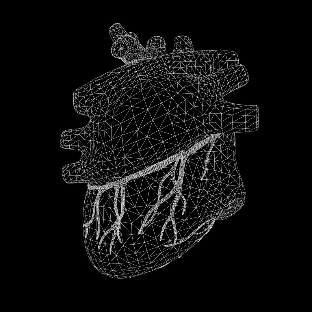 Human Heart 3D Model – Low Poly Medical Asset, PBR Textures, FBX