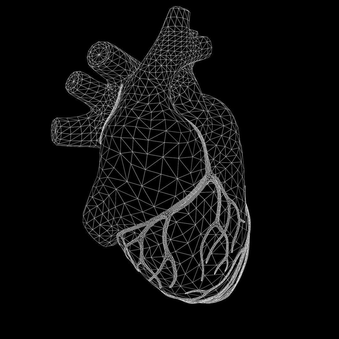 Human Heart 3D Model – Low Poly Medical Asset, PBR Textures, FBX - View 10