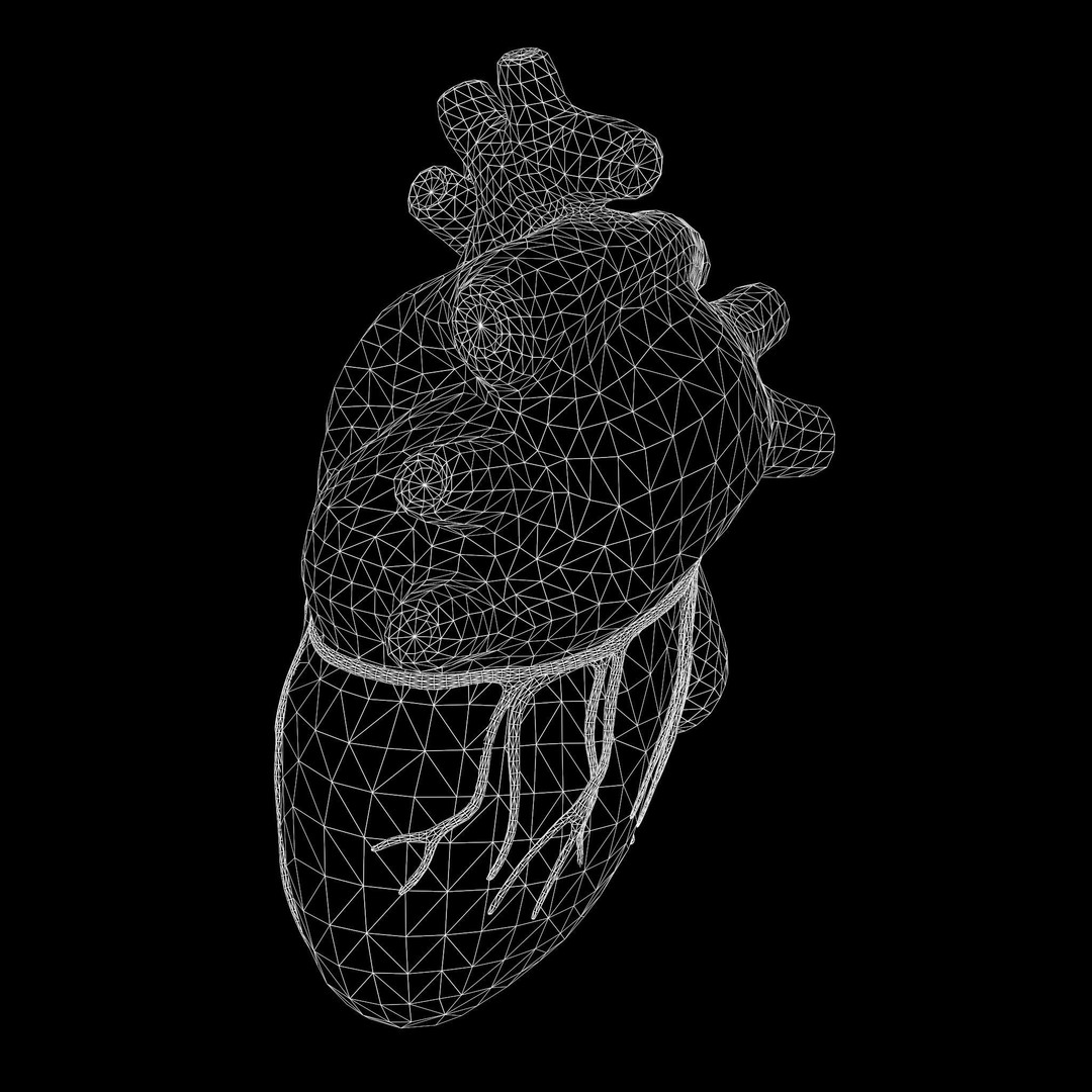 Human Heart 3D Model – Low Poly Medical Asset, PBR Textures, FBX - View 8