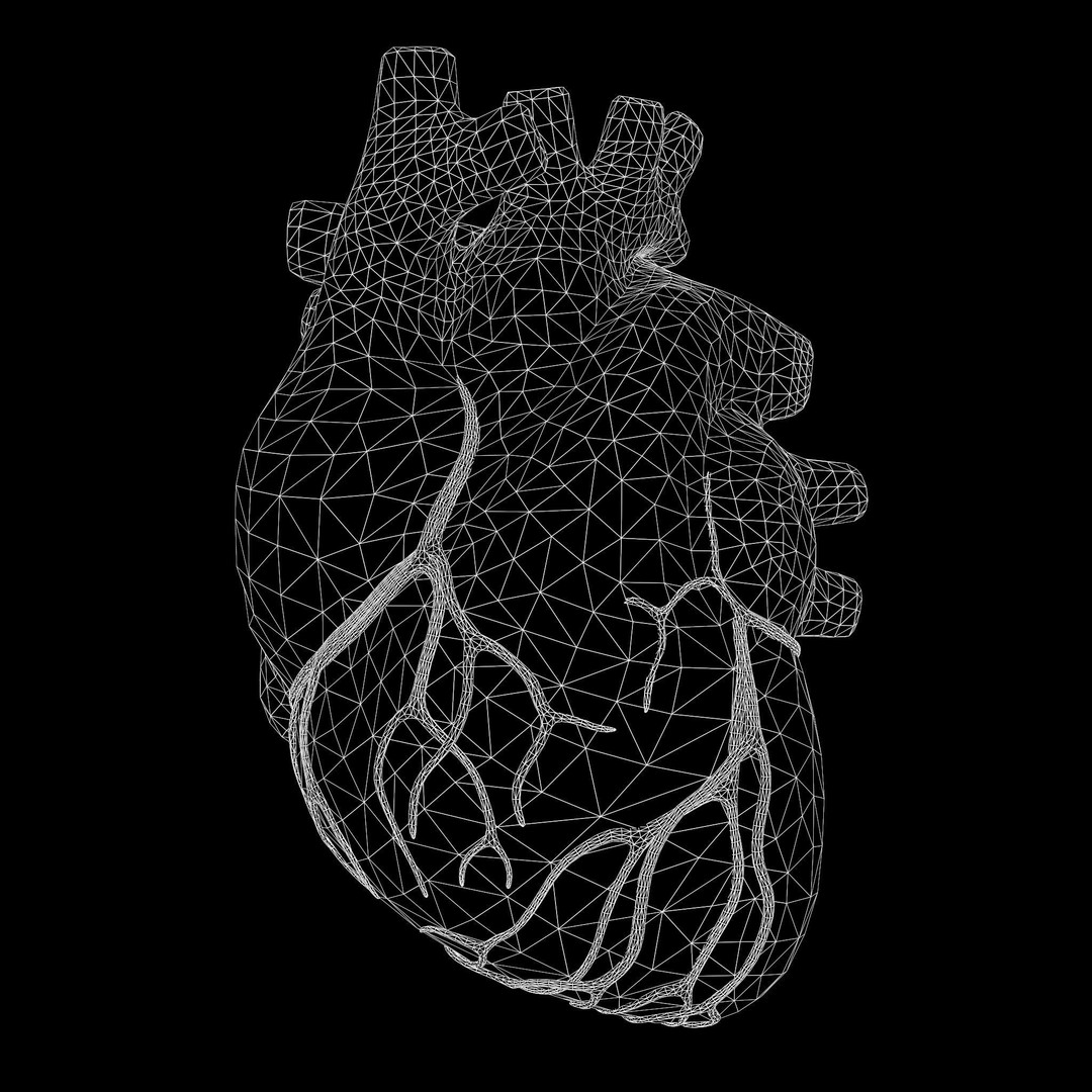 Human Heart 3D Model – Low Poly Medical Asset, PBR Textures, FBX - View 9