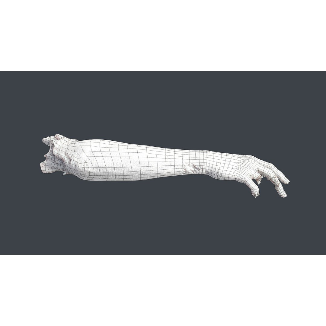 Severed Hand 3D Model – Low Poly Horror Asset, PBR Textures