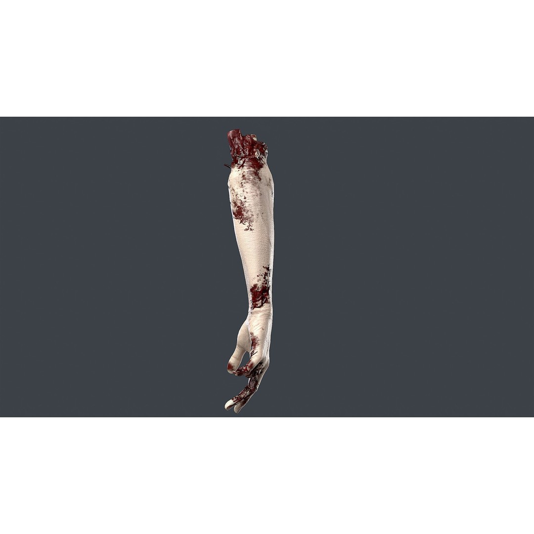 Severed Hand 3D Model – Low Poly Horror Asset, PBR Textures - View 10