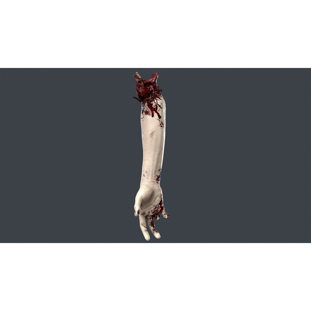 Severed Hand 3D Model – Low Poly Horror Asset, PBR Textures - View 11