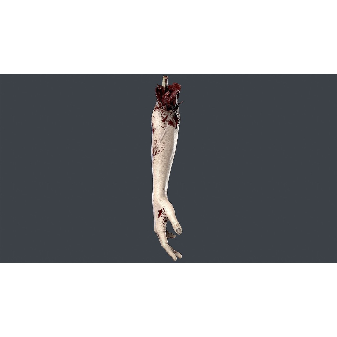 Severed Hand 3D Model – Low Poly Horror Asset, PBR Textures - View 12