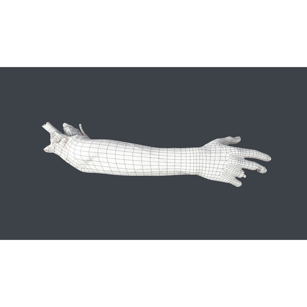 Severed Hand 3D Model – Low Poly Horror Asset, PBR Textures - View 14